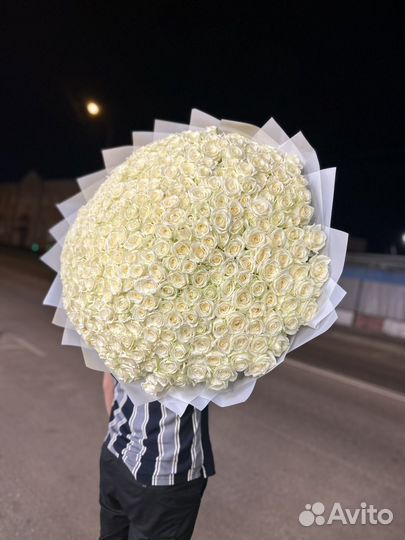 101 белая роза 70 см