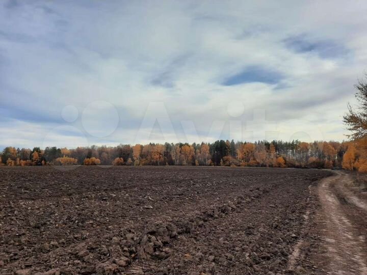 Участок 4,2 га (ИЖС)