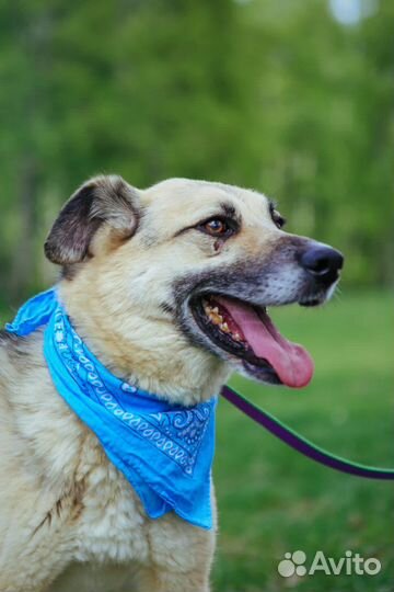 Долго мне не прожить в приюте