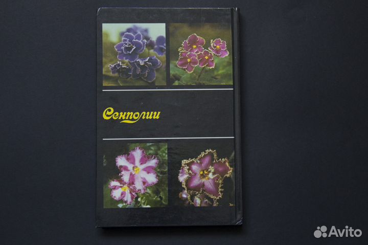 В.А. Михеев «Сенполии»