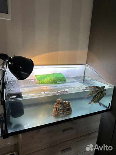 Аквариум Biodesign на 100л