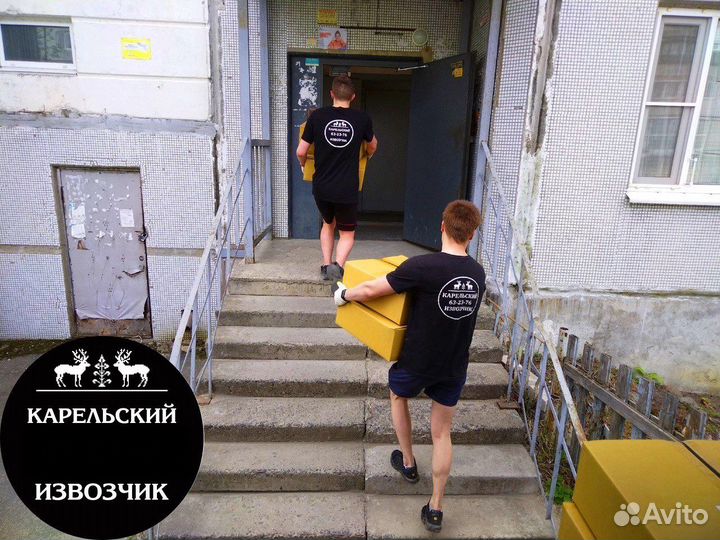 Грузоперевозки