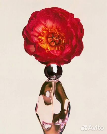 Kylie jenner cosmic perfume