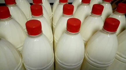 Молочная продукция из Рязани