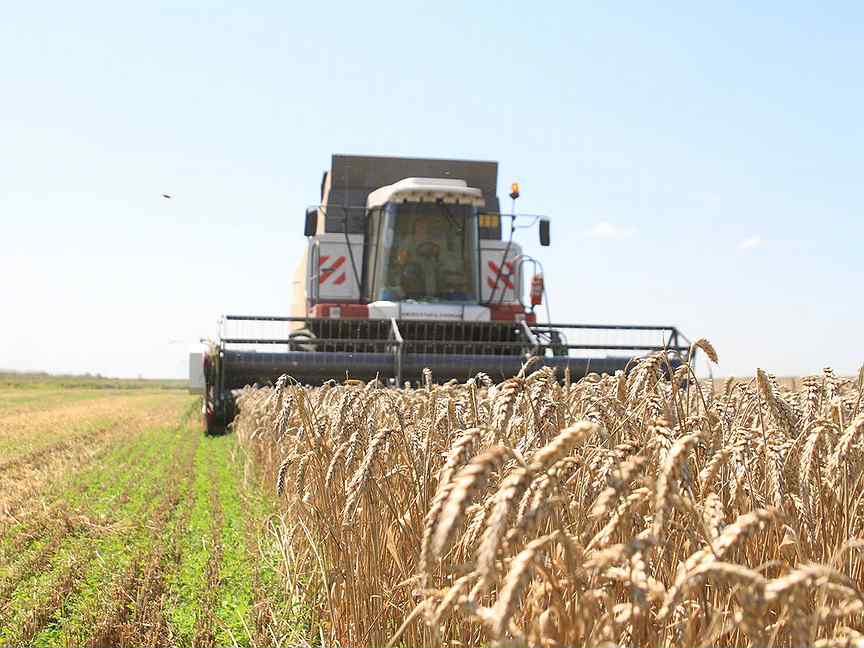Ейск виноградники. Современный агроном. Специалист сельского хозяйства. Вакансия агроном. Сельское хозяйство урожай.