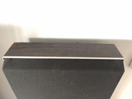 Bang & Olufsen Beovox P30