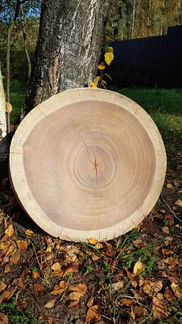 Торцевой спил 