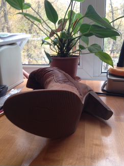 Демисезонные сапоги