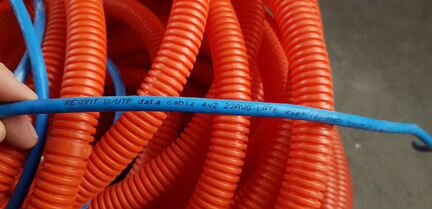 Витая пара Rexant U/UTP, cat6 23AWG