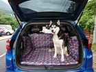 Шью Автогамаки для перевозки собак в автомобиле