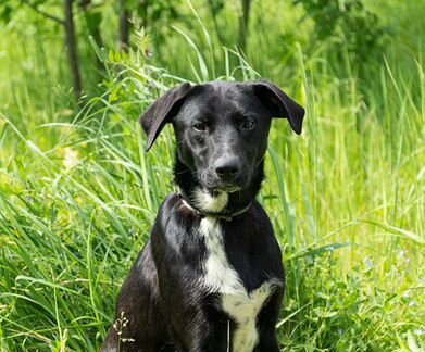 Юная обольстительница мечтает о своем доме