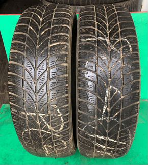 Шины Vredestein SnowTrac 185/65/15