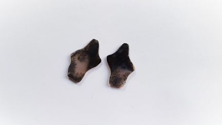 Пейзажный агат. пара кабошонов на серьги. 25,05 к