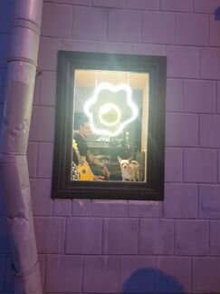 Неоновая вывеска Яичница