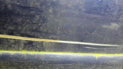 Дверь боковая левая передняя Audi S4, 2000