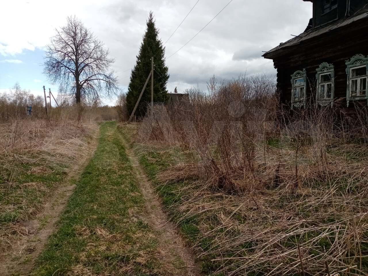 Зманово Ярославская область деревня.