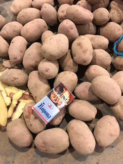 Картофель оптом