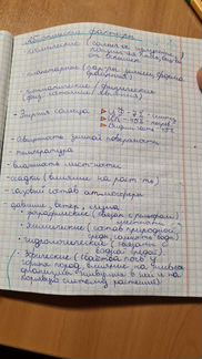 Пишу конспекты за Вас