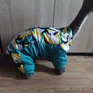 Одежда для собак