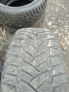 Шины danlop winter sport m3