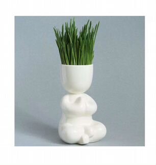 Горшок для зелени Йог, новый