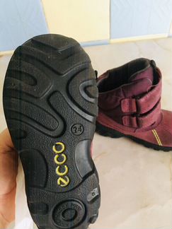 Сапоги