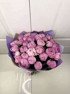 Пионы Сара Бернар 15шт