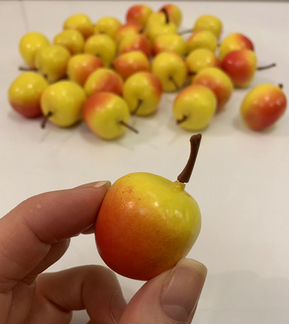 Муляж райские яблочки