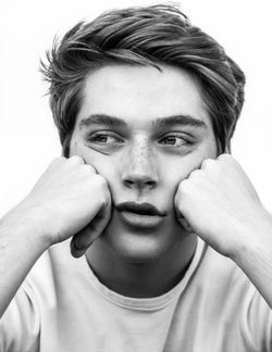 Создание сайтов на Tilda