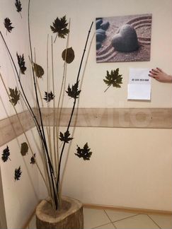 Комната 20 м² в 4-к, 1/17 эт.