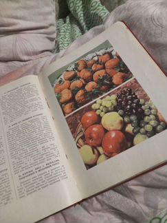 Книга о вкусной и здоровой пище 1964г