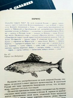 Рыбы России Сабанеев Л.П. - уникальная книга
