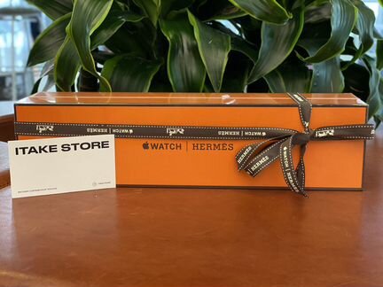 Apple Watch S6 Hermes