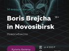 Билеты на концерт Boris Brejcha Новосибирск 14.01 объявление продам